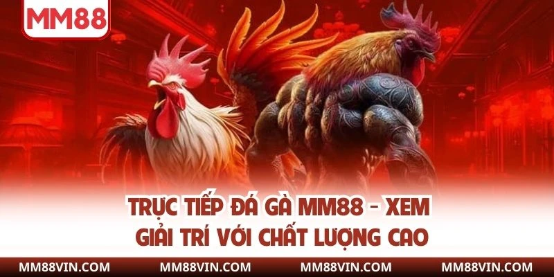 trực tiếp đá gà